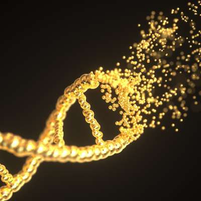 Sciences de la vie, GMP, GxP, 